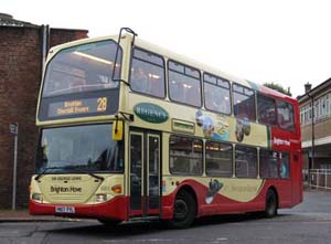 Regency Bus