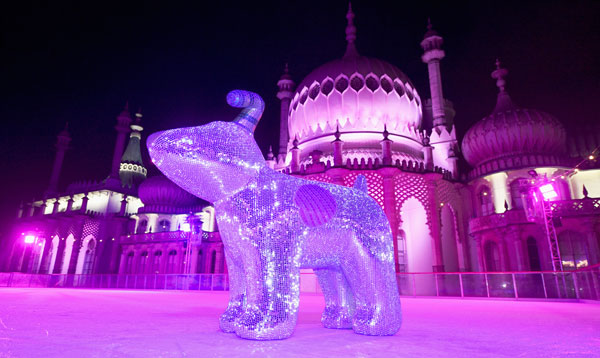 snowdogs-by-the-sea_brighton-hove-autumn-2016_disco-dog-at-launch-event-at-pavillion-ice-rink-dec-2015-c-vervate-photography