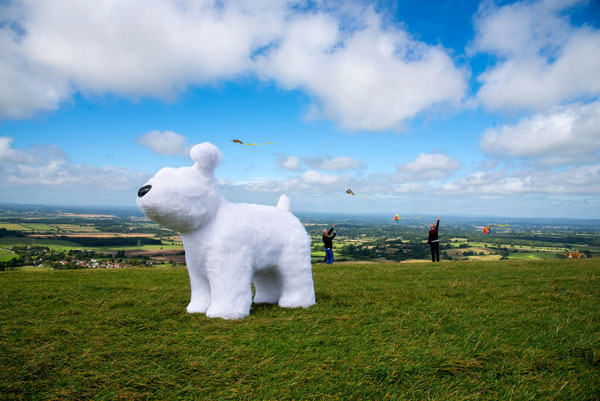 snowdogs-by-the-sea_roodle-on-south-downs-cliz-finlayson-vervate
