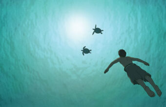 red_turtle_the_swimming_boy