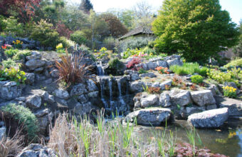 Preston-Park-rock-garden