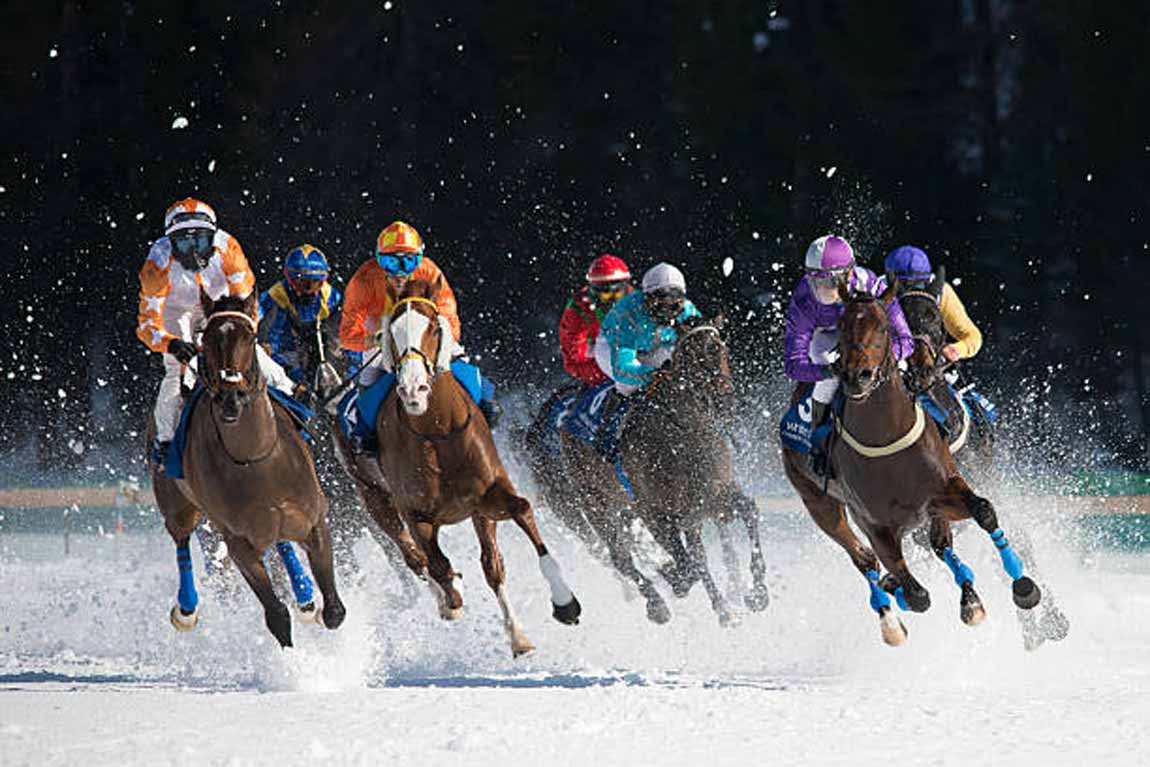 Best Horse Racing Events to Attend During the Christmas Period